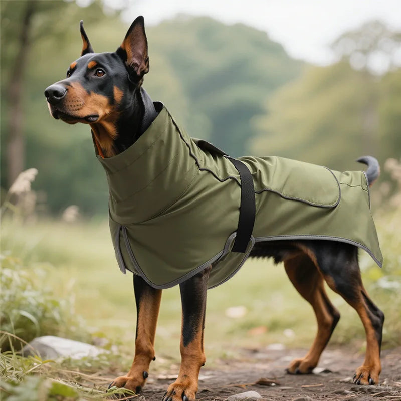 Large Dog Waterproof Windbreaker Raincoat for Outdoor Adventures