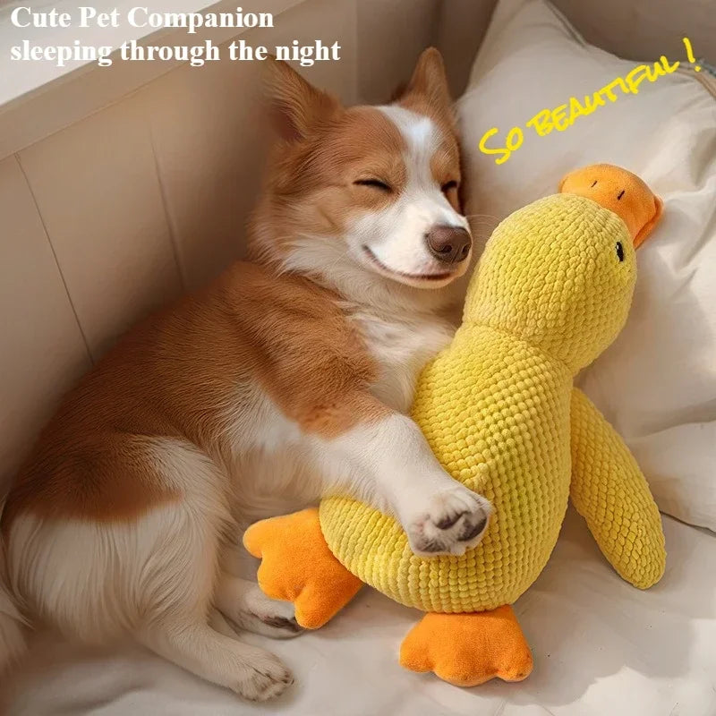 ChewPro Puppy Toy