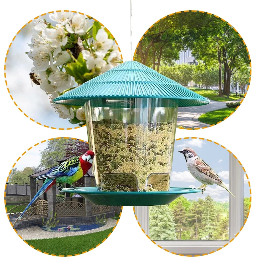 Auto Bird Feeder Dispenser