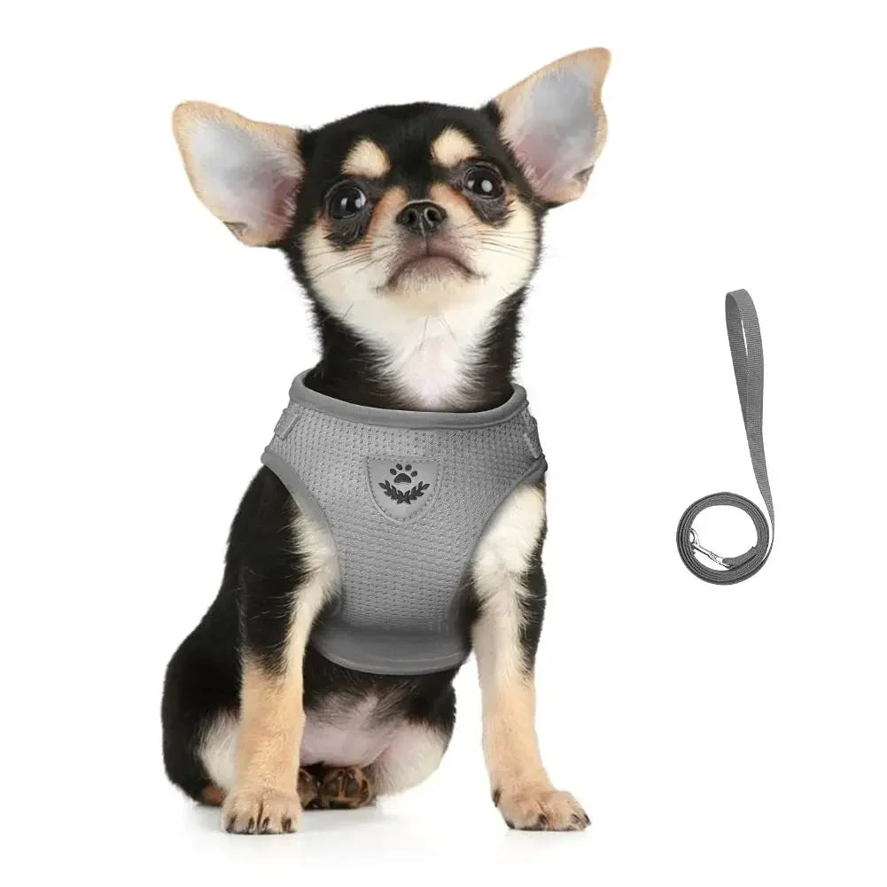 SafeStride Pet Harness
