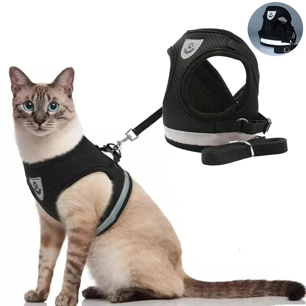 SafeStride Pet Harness