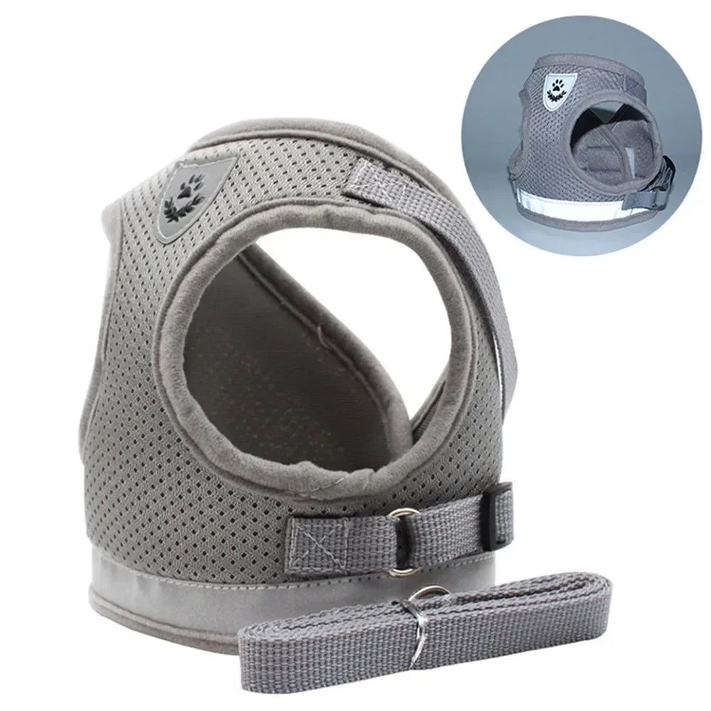 SafeStride Pet Harness