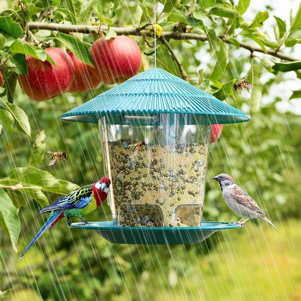 Auto Bird Feeder Dispenser