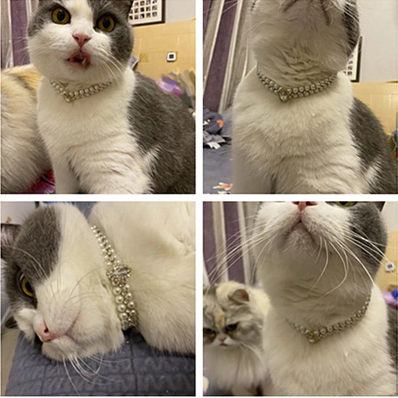Luxury Pet Pearl Necklace