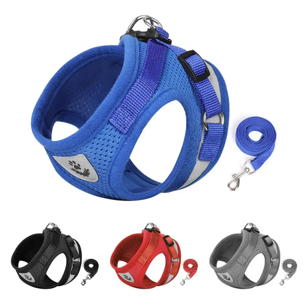 SafeStride Pet Harness